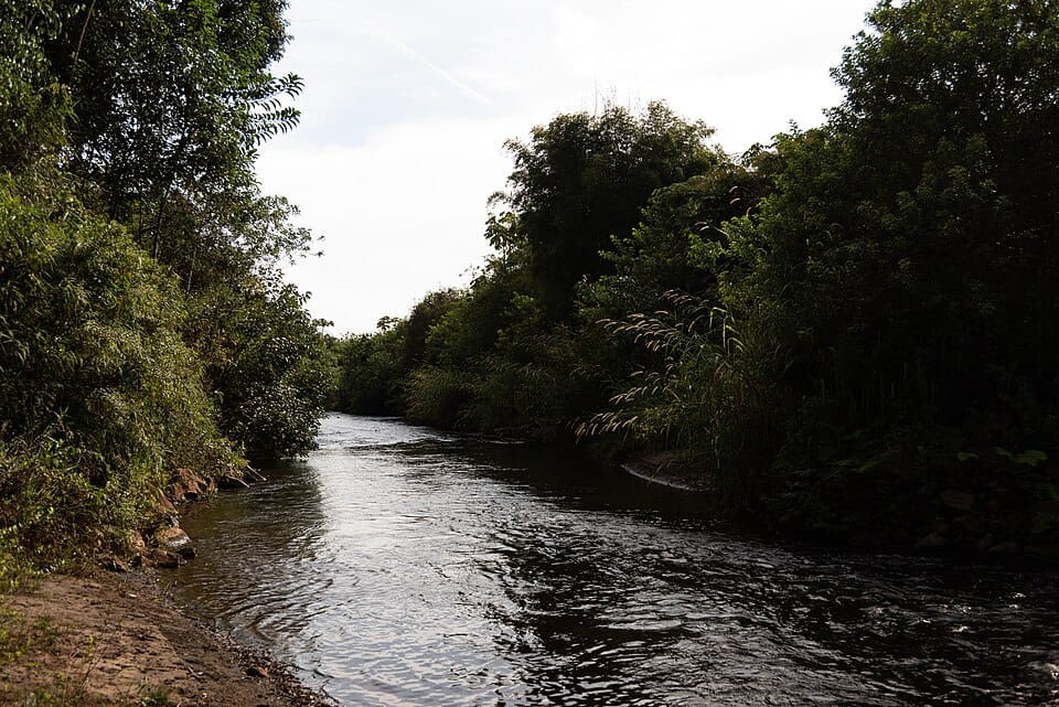 Programa Reabilitar para Arrendar: quem pode candidatar-se