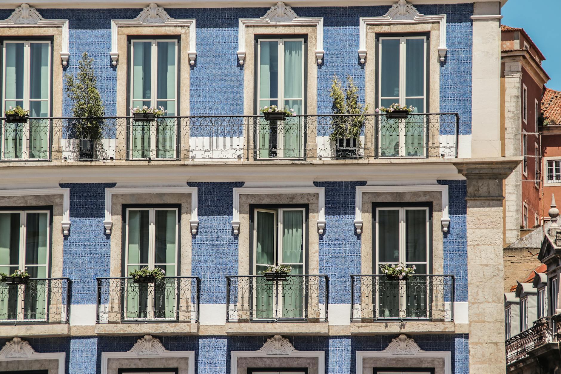 Térmitas em apartamentos em Lisboa e Porto maio 2026: como identificar a espécie, o custo real do tratamento e o que o seguro cobre