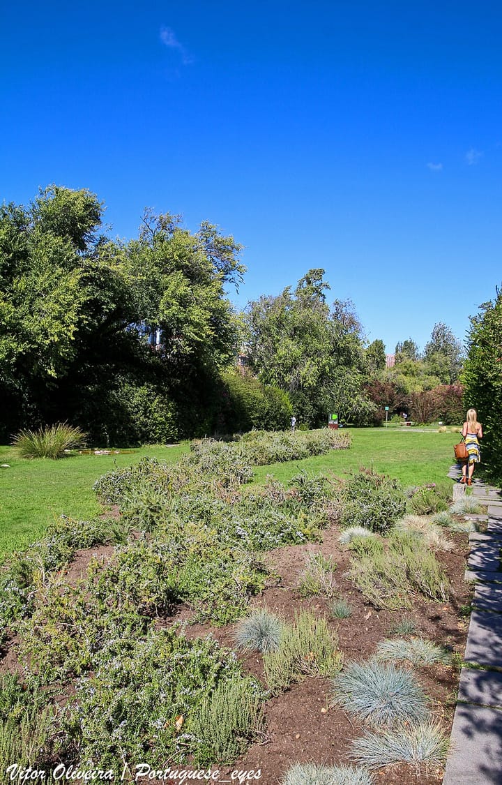 Jardins portugueses: espaço verde resistente ao calor